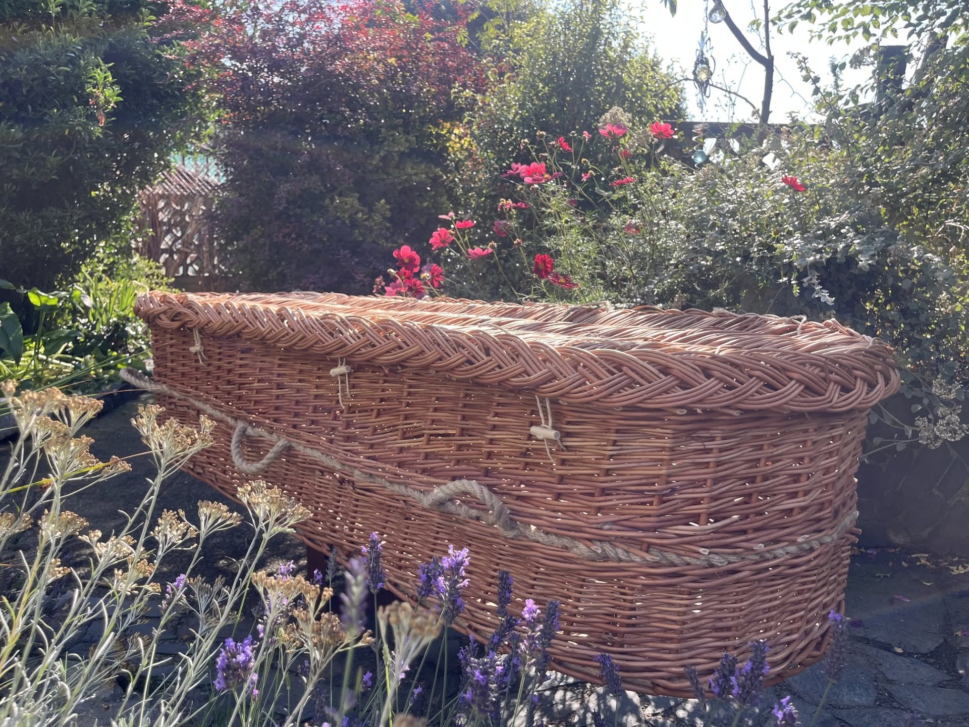 A finished handwoven willow coffin with rope handles in a cottage garden